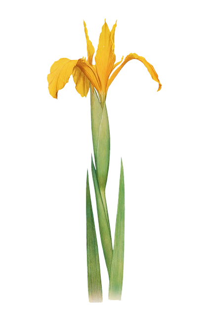 Hypnotherapist Ruth Flanagan